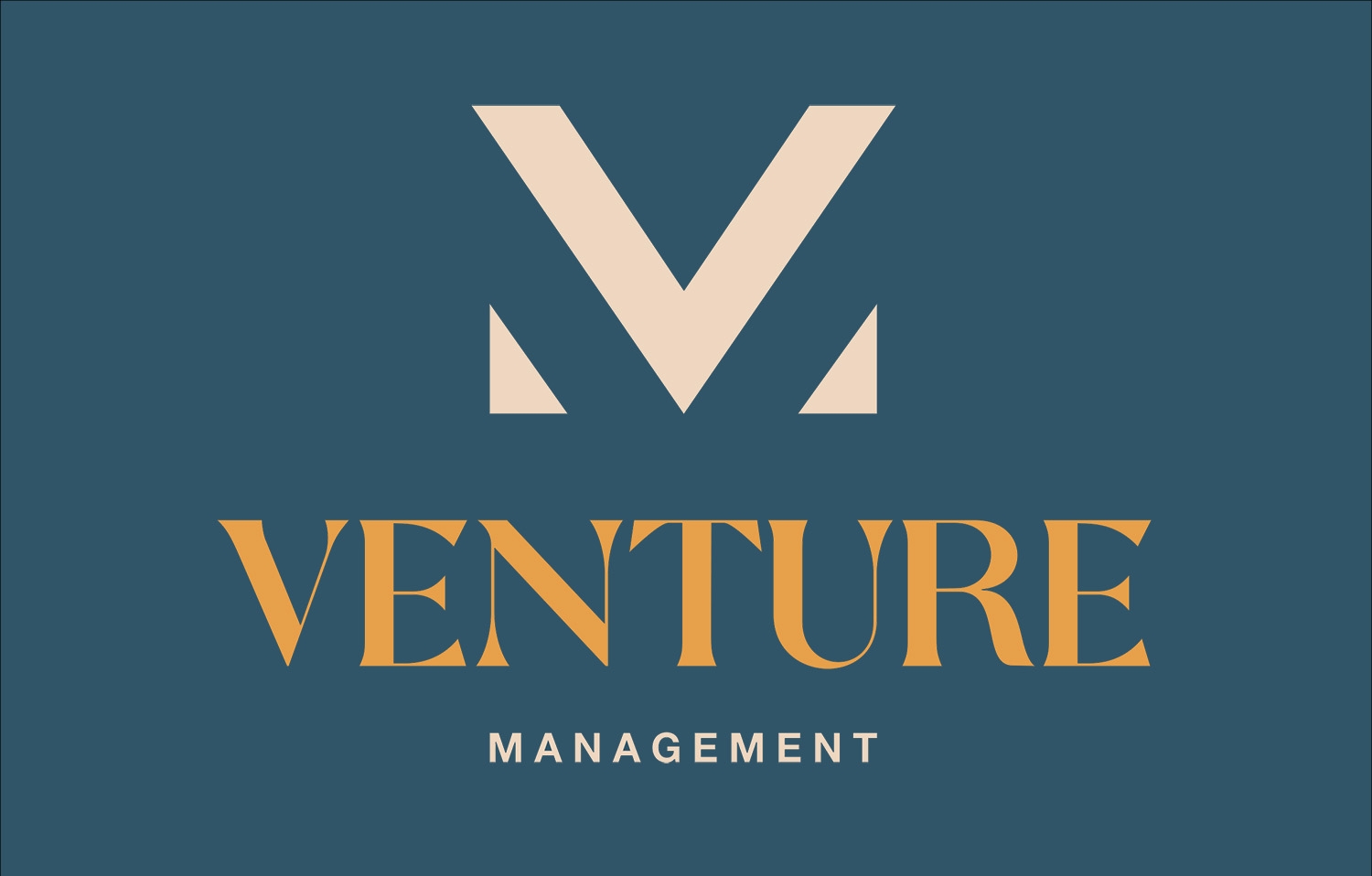 About Venture Management